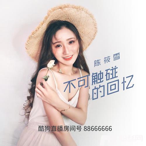 不可触碰的回忆的专辑