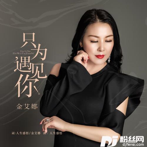 只为遇见你DJ何鹏版