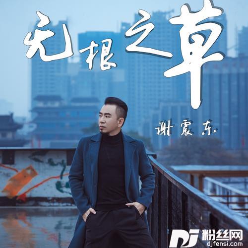 无根之草