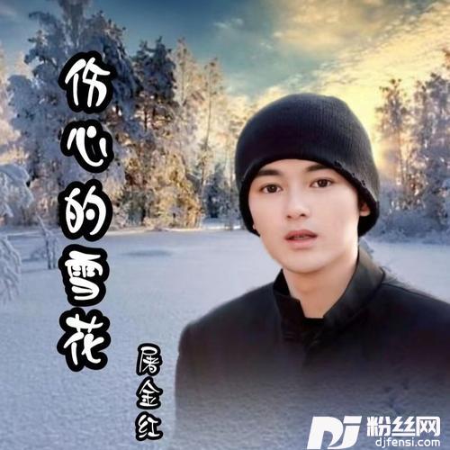 伤心的雪花cover:宋宇