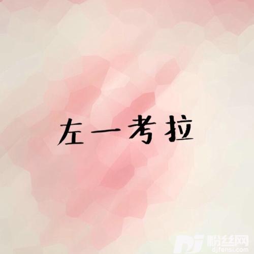 左一考拉