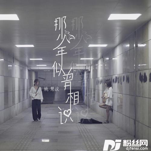 那少年似曾相识的专辑