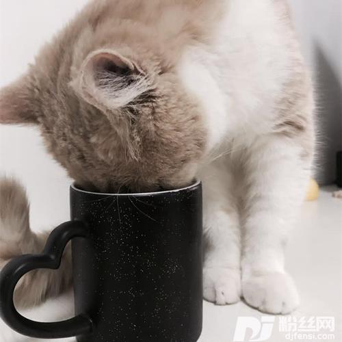 遥不可及的你的专辑