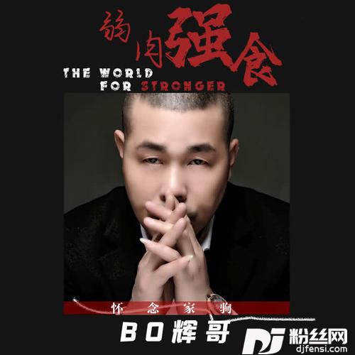 弱肉强食粤的专辑