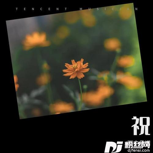 祝某人（何鹍D版）