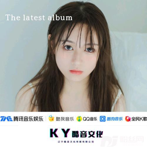 清明上河图DJ版的专辑