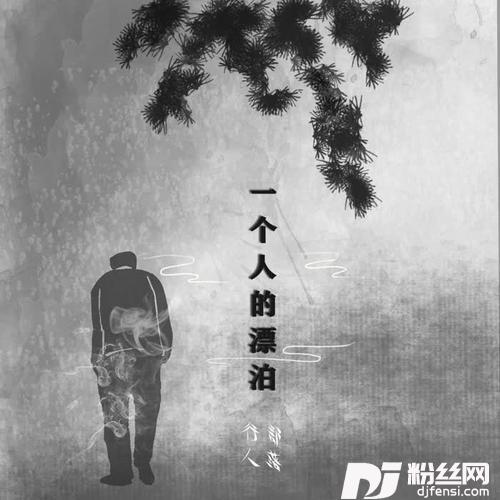 一个人的漂泊DJ版的专辑