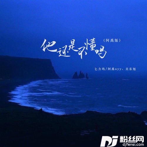 他还是不懂吗阿禹版