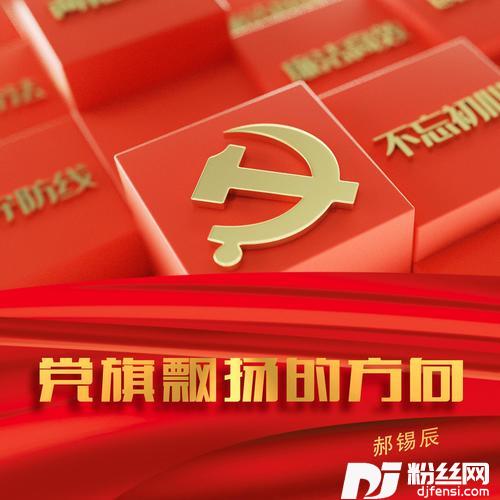 党旗飘扬的方向cover:叶翠