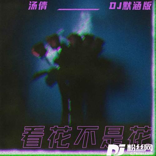 看花不是花DJ默涵版