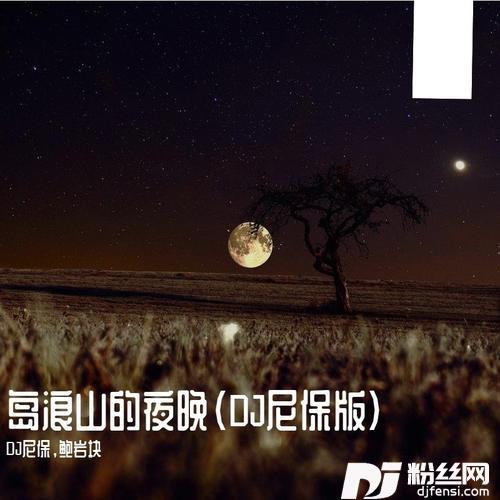岛浪山的夜晚DJ尼保版
