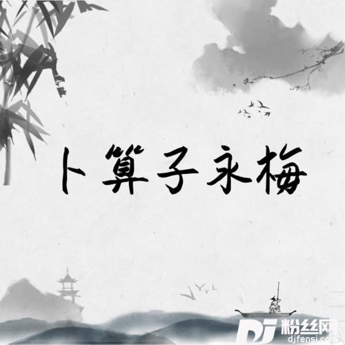 卜算子咏梅的专辑