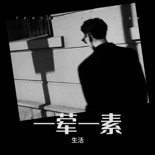 一荤一素cover:毛不易