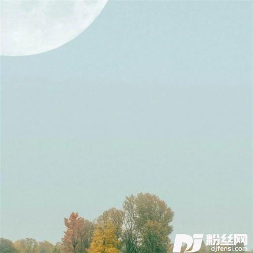 数着一圈圈年轮