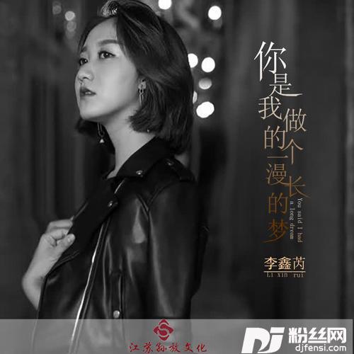 你是我做的一个漫长的梦的专辑