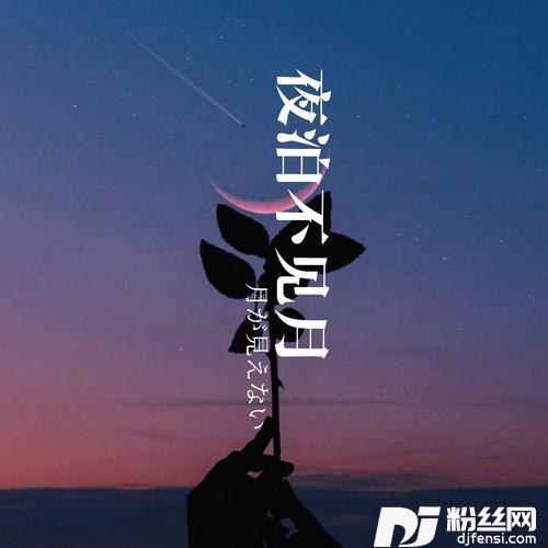 夜泊不见月