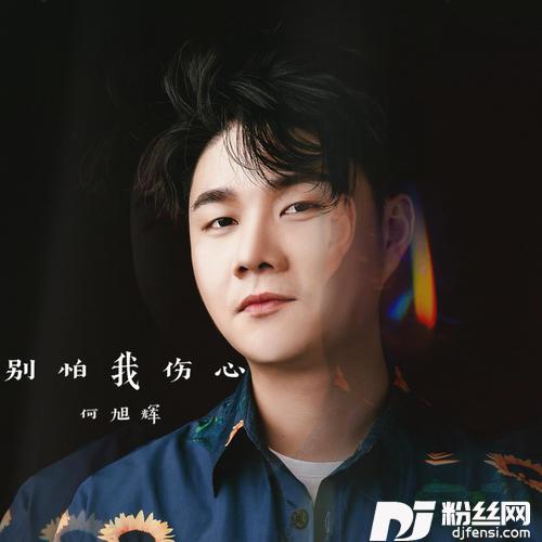 别怕我伤心沧桑版的专辑