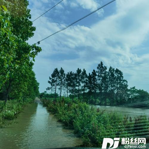 惜別的海岸cover:龙飘飘的专辑