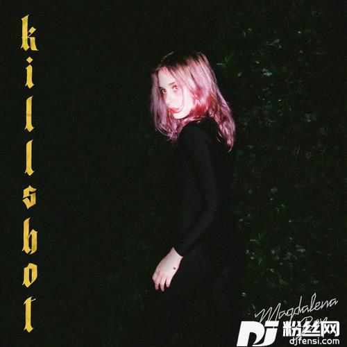 Killshot的专辑