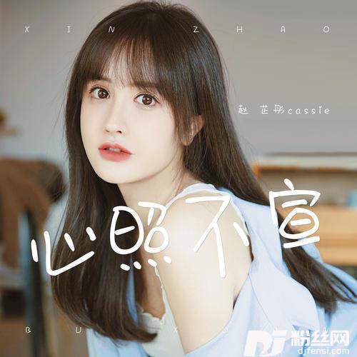 心照不宣DJ版）