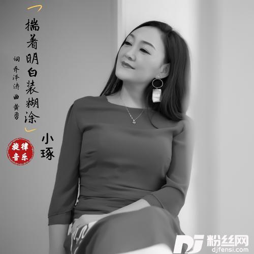 揣着明白装糊涂（DJ版）