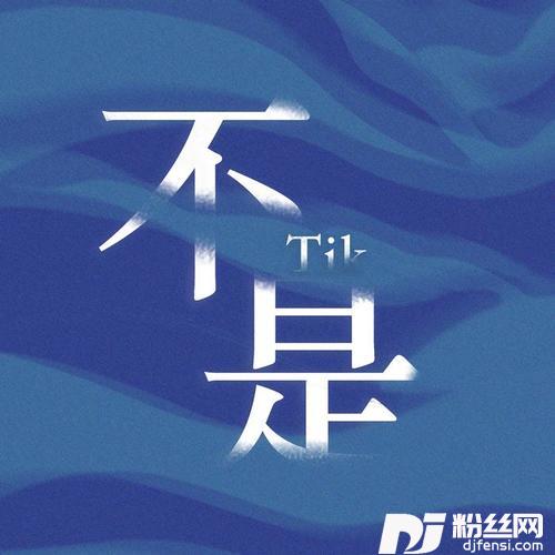不是的专辑