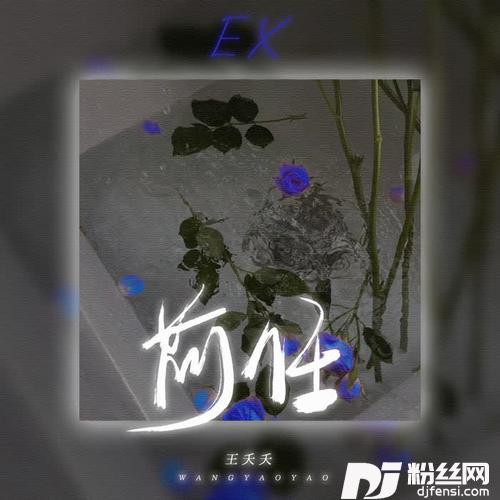 前任的专辑