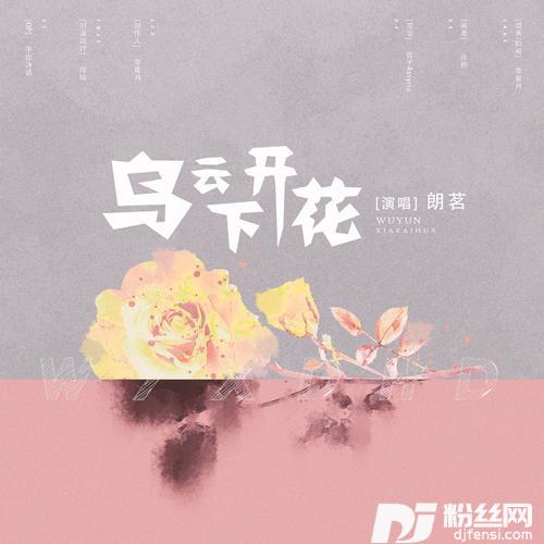乌云下开花