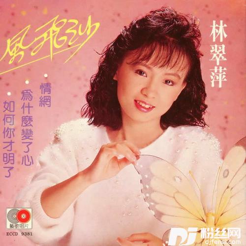 我太傻