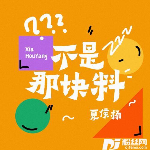 不是那块料DJ翊轩版