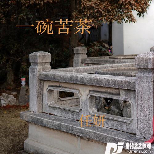 一碗苦茶