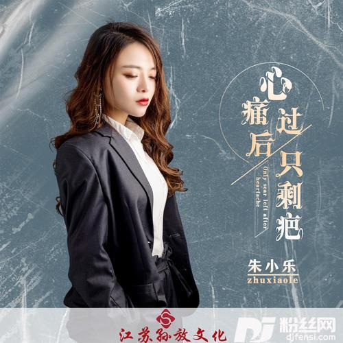心痛过后只剩疤DJ版的专辑