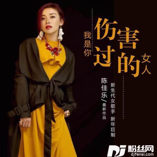 我是你伤害过的女人DJ版的专辑