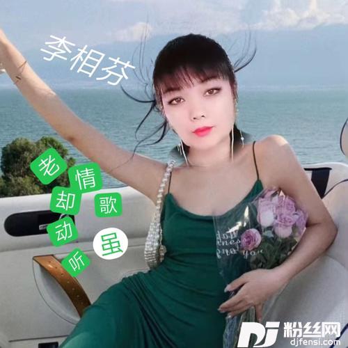 情歌虽老却动听cover:花姐的专辑