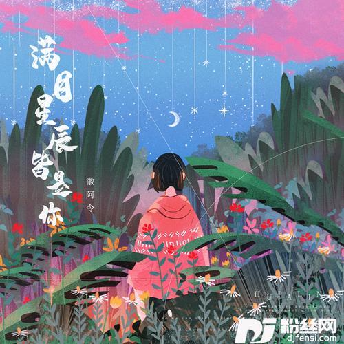 满目星辰皆是你DJ版