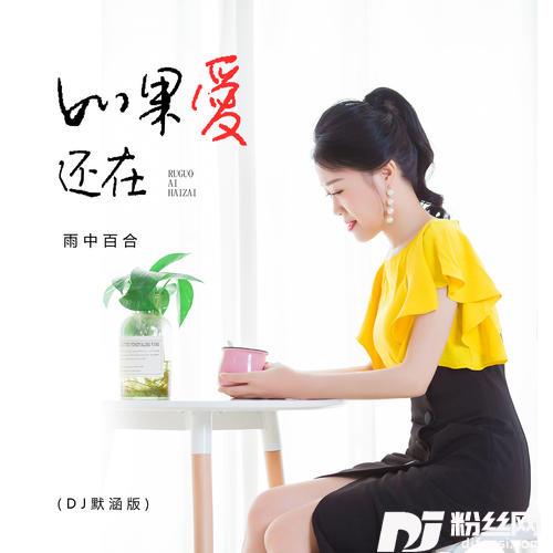 如果爱还在DJ默涵版