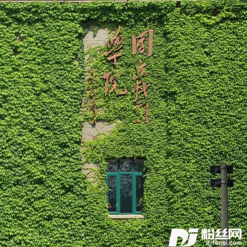 常青藤下（为中戏与毕业生）的专辑
