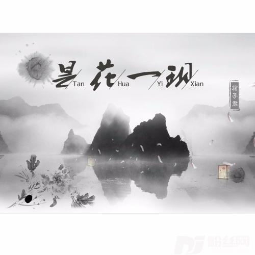 昙花一现的专辑