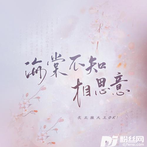 海棠不知相思意