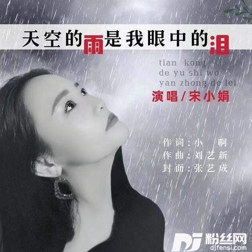 天空的雨是我眼中的泪的专辑