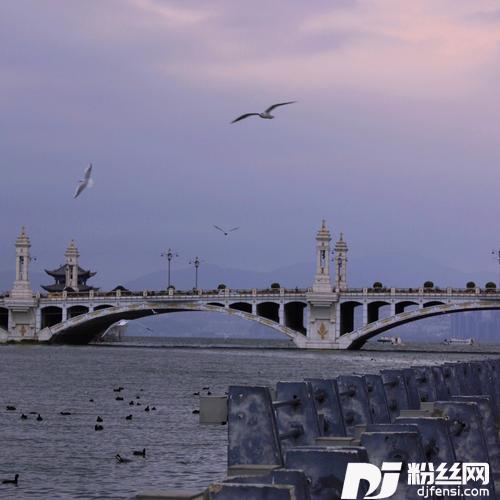 左耳cover:**的专辑