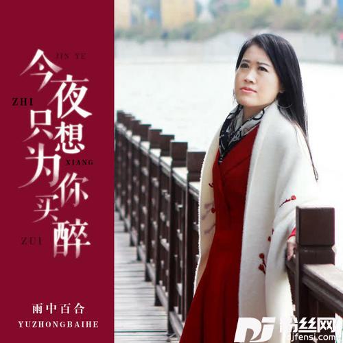 今夜只想为你买醉DJ版