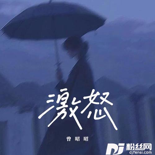 激怒的专辑
