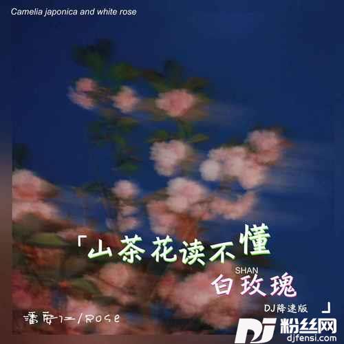 山茶花读不懂白玫瑰DJ降速版