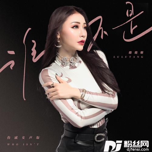 谁不是伤感女声版的专辑
