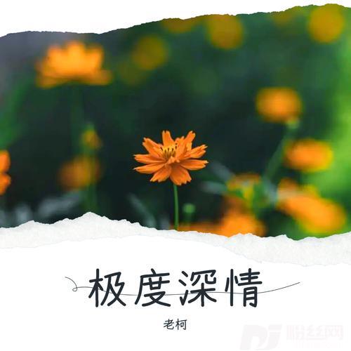 我们再也没有了以后cover:王爱华