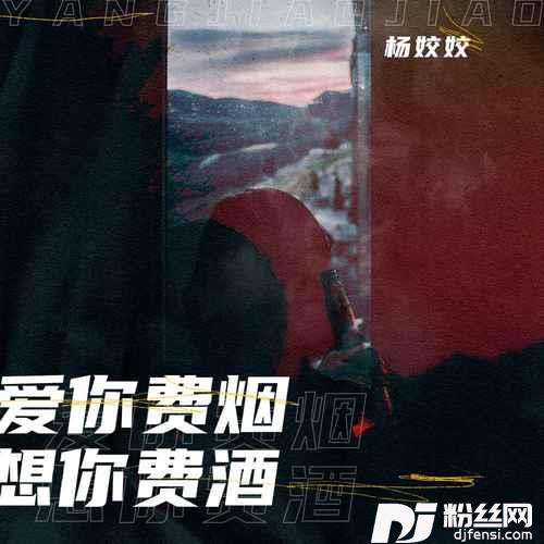 爱你费烟想你费酒DJ默涵版