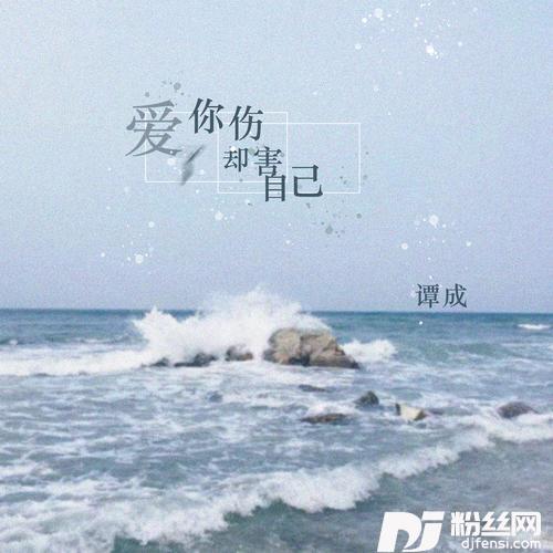 爱你却伤害了自己DJ可乐版的专辑