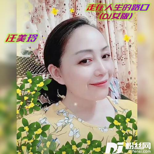 走在人生的路口DJ女版