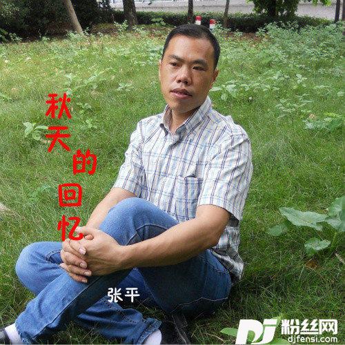 想你你却不在我身旁的专辑